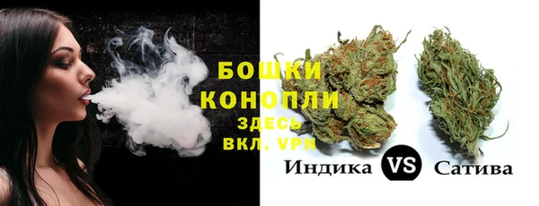 спиды Бородино