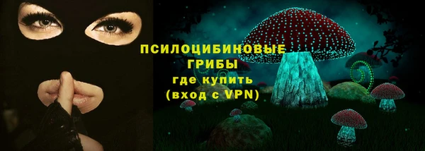 mix Белокуриха