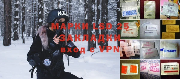 шишки Баксан