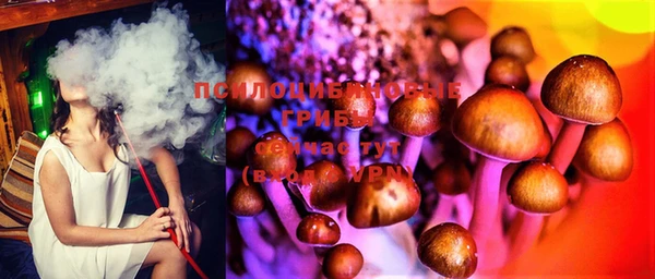 гидра Бугульма