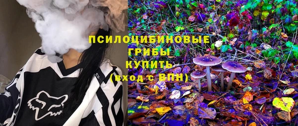 гидра Бугульма