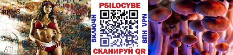блэк спрут ТОР купить наркотик Искитим Галлюциногенные грибы GOLDEN TEACHER